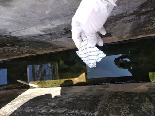 Dịch Vụ Kiểm Soát Côn Trùng Cho Trường Học