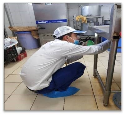 Dịch Vụ Kiểm Soát Côn Trùng Cho Nhà Hàng