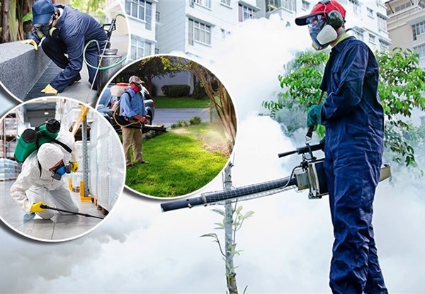 Dịch Vụ Kiểm Soát Côn Trùng Cho Trung Tâm Thương Mại